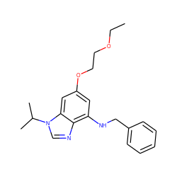 CCOCCOc1cc(NCc2ccccc2)c2ncn(C(C)C)c2c1 ZINC000061949084