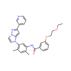 CCOCCOc1cccc(C(=O)Nc2cc(-n3ccn4nc(-c5cccnc5)cc34)c(C)cc2C)c1 ZINC000224197380