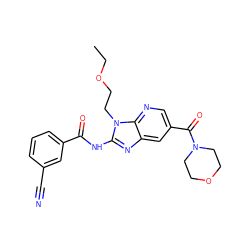 CCOCCn1c(NC(=O)c2cccc(C#N)c2)nc2cc(C(=O)N3CCOCC3)cnc21 ZINC000064512482