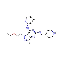 CCOCCn1nc(C)c2nc(NCC3CCNCC3)nc(Nc3cc(C)ccn3)c21 ZINC000049112676