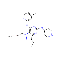 CCOCCn1nc(CC)c2nc(NC3CCNCC3)nc(Nc3cc(C)ccn3)c21 ZINC000049109346