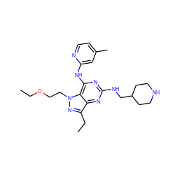 CCOCCn1nc(CC)c2nc(NCC3CCNCC3)nc(Nc3cc(C)ccn3)c21 ZINC000049088940