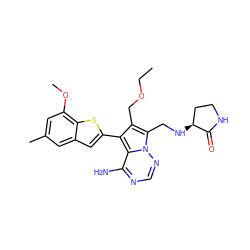 CCOCc1c(-c2cc3cc(C)cc(OC)c3s2)c2c(N)ncnn2c1CN[C@H]1CCNC1=O ZINC000218070080