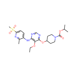 CCOc1c(Nc2ccc(S(C)(=O)=O)nc2C)ncnc1OC1CCN(C(=O)OC(C)C)CC1 ZINC000038211751