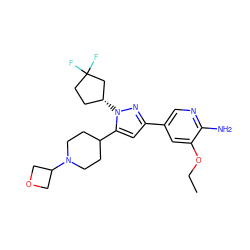 CCOc1cc(-c2cc(C3CCN(C4COC4)CC3)n([C@@H]3CCC(F)(F)C3)n2)cnc1N ZINC000146504506