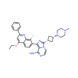 CCOc1cc(-c2ccccc2)nc2c(F)c(-c3nc([C@H]4C[C@@H](N5CCN(C)CC5)C4)n4ccnc(N)c34)ccc12 ZINC000261171379