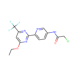 CCOc1cc(C(F)(F)F)nc(-c2ccc(NC(=O)CCl)cn2)n1 ZINC000064512199