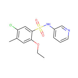 CCOc1cc(C)c(Cl)cc1S(=O)(=O)Nc1cccnc1 ZINC000004970395