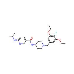 CCOc1cc(CN2CCC(NC(=O)c3ccc(NC(C)C)nc3)CC2)cc(OCC)c1F ZINC000058598826