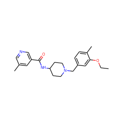 CCOc1cc(CN2CCC(NC(=O)c3cncc(C)c3)CC2)ccc1C ZINC000058511306