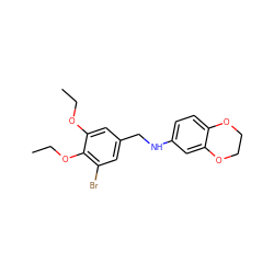 CCOc1cc(CNc2ccc3c(c2)OCCO3)cc(Br)c1OCC ZINC000000624041