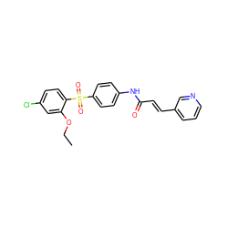 CCOc1cc(Cl)ccc1S(=O)(=O)c1ccc(NC(=O)/C=C/c2cccnc2)cc1 ZINC000142223578