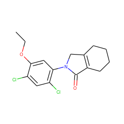 CCOc1cc(N2CC3=C(CCCC3)C2=O)c(Cl)cc1Cl ZINC000103210140