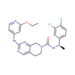 CCOc1cc(Nc2ncc3c(n2)CN(C(=O)N[C@H](C)c2ccc(Cl)c(Cl)c2)CC3)ccn1 ZINC000202124046