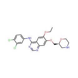 CCOc1cc2c(Nc3ccc(Cl)c(Cl)c3)ncnc2cc1OC[C@@H]1CNCCO1 ZINC000118584022