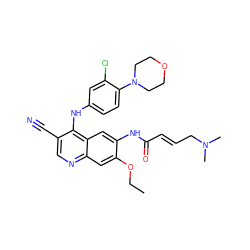 CCOc1cc2ncc(C#N)c(Nc3ccc(N4CCOCC4)c(Cl)c3)c2cc1NC(=O)/C=C/CN(C)C ZINC000028124350