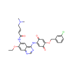 CCOc1cc2ncnc(NC3=CC(=O)C(OCc4cccc(Cl)c4)=CC3=O)c2cc1NC(=O)/C=C/CN(C)C ZINC000101108150