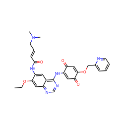 CCOc1cc2ncnc(NC3=CC(=O)C(OCc4ccccn4)=CC3=O)c2cc1NC(=O)/C=C/CN(C)C ZINC000100069193