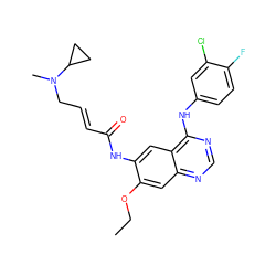 CCOc1cc2ncnc(Nc3ccc(F)c(Cl)c3)c2cc1NC(=O)/C=C/CN(C)C1CC1 ZINC000473125520