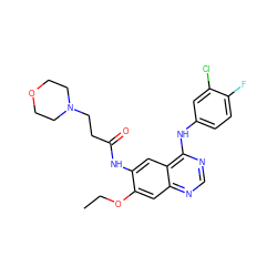 CCOc1cc2ncnc(Nc3ccc(F)c(Cl)c3)c2cc1NC(=O)CCN1CCOCC1 ZINC000084671308