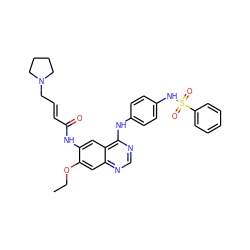 CCOc1cc2ncnc(Nc3ccc(NS(=O)(=O)c4ccccc4)cc3)c2cc1NC(=O)/C=C/CN1CCCC1 ZINC001772577796