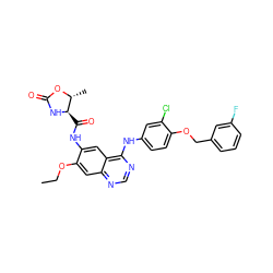 CCOc1cc2ncnc(Nc3ccc(OCc4cccc(F)c4)c(Cl)c3)c2cc1NC(=O)[C@H]1NC(=O)O[C@@H]1C ZINC000653873826