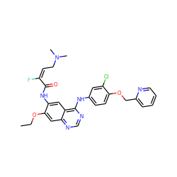 CCOc1cc2ncnc(Nc3ccc(OCc4ccccn4)c(Cl)c3)c2cc1NC(=O)/C(F)=C\CN(C)C ZINC000145220779