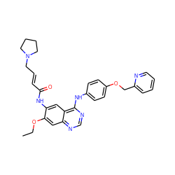 CCOc1cc2ncnc(Nc3ccc(OCc4ccccn4)cc3)c2cc1NC(=O)/C=C/CN1CCCC1 ZINC001772642257