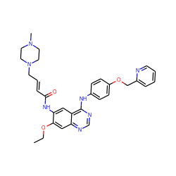 CCOc1cc2ncnc(Nc3ccc(OCc4ccccn4)cc3)c2cc1NC(=O)/C=C/CN1CCN(C)CC1 ZINC001772592202