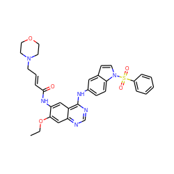 CCOc1cc2ncnc(Nc3ccc4c(ccn4S(=O)(=O)c4ccccc4)c3)c2cc1NC(=O)/C=C/CN1CCOCC1 ZINC001772640084