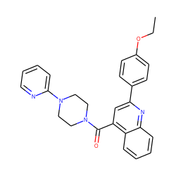 CCOc1ccc(-c2cc(C(=O)N3CCN(c4ccccn4)CC3)c3ccccc3n2)cc1 ZINC000003044941