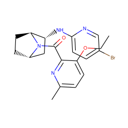 CCOc1ccc(C)nc1C(=O)N1[C@H]2CC[C@H]1[C@H](Nc1ccc(Br)cn1)C2 ZINC000226064087