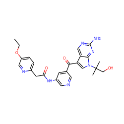 CCOc1ccc(CC(=O)Nc2cncc(C(=O)c3cn(C(C)(C)CO)c4nc(N)ncc34)c2)nc1 ZINC000169686433