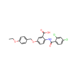 CCOc1ccc(COc2ccc(NC(=O)c3ccc(Cl)cc3Cl)c(C(=O)O)c2)cc1 ZINC000012358146