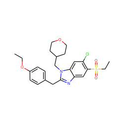 CCOc1ccc(Cc2nc3cc(S(=O)(=O)CC)c(Cl)cc3n2CC2CCOCC2)cc1 ZINC000029046963