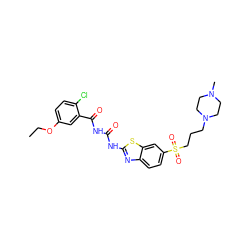 CCOc1ccc(Cl)c(C(=O)NC(=O)Nc2nc3ccc(S(=O)(=O)CCCN4CCN(C)CC4)cc3s2)c1 ZINC000059244340