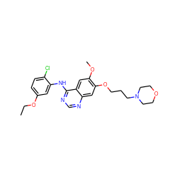 CCOc1ccc(Cl)c(Nc2ncnc3cc(OCCCN4CCOCC4)c(OC)cc23)c1 ZINC000013559412