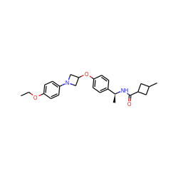 CCOc1ccc(N2CC(Oc3ccc([C@H](C)NC(=O)C4CC(C)C4)cc3)C2)cc1 ZINC000142349490