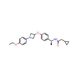 CCOc1ccc(N2CC(Oc3ccc([C@H](C)NC(=O)CC4CC4)cc3)C2)cc1 ZINC000142317066