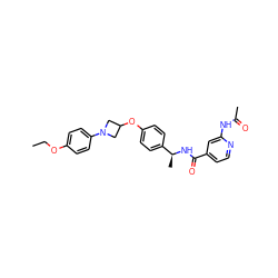 CCOc1ccc(N2CC(Oc3ccc([C@H](C)NC(=O)c4ccnc(NC(C)=O)c4)cc3)C2)cc1 ZINC000142317882