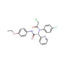 CCOc1ccc(NC(=O)[C@@H](c2ccccn2)N(C(=O)CCl)c2ccc(F)cc2)cc1 ZINC000004789170