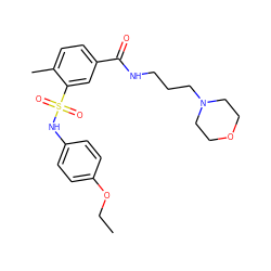 CCOc1ccc(NS(=O)(=O)c2cc(C(=O)NCCCN3CCOCC3)ccc2C)cc1 ZINC000033023962