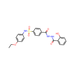 CCOc1ccc(NS(=O)(=O)c2ccc(C(=O)NNC(=O)c3ccccc3O)cc2)cc1 ZINC000017575668