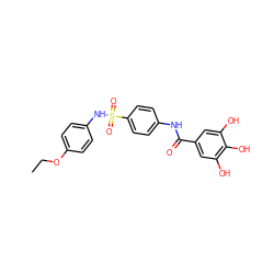 CCOc1ccc(NS(=O)(=O)c2ccc(NC(=O)c3cc(O)c(O)c(O)c3)cc2)cc1 ZINC000043023410