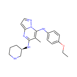 CCOc1ccc(Nc2c(C)c(N[C@@H]3CCCNC3)nc3ccnn23)cc1 ZINC000095552504