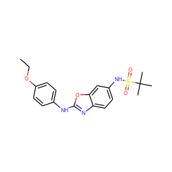 CCOc1ccc(Nc2nc3ccc(NS(=O)(=O)C(C)(C)C)cc3o2)cc1 ZINC000073313149