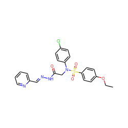 CCOc1ccc(S(=O)(=O)N(CC(=O)N/N=C/c2ccccn2)c2ccc(Cl)cc2)cc1 ZINC000013677329