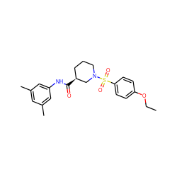 CCOc1ccc(S(=O)(=O)N2CCC[C@H](C(=O)Nc3cc(C)cc(C)c3)C2)cc1 ZINC000004966966