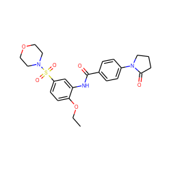 CCOc1ccc(S(=O)(=O)N2CCOCC2)cc1NC(=O)c1ccc(N2CCCC2=O)cc1 ZINC000012891436