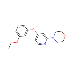 CCOc1cccc(Oc2ccnc(N3CCOCC3)c2)c1 ZINC000095577980